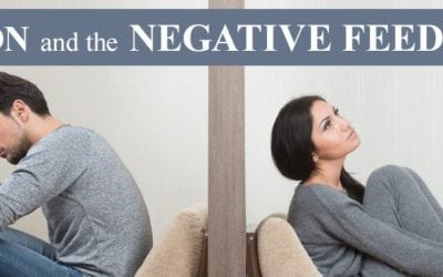 Addiction and the Negative Feedback Loop