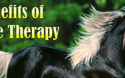 Benefits of Equine Therapy