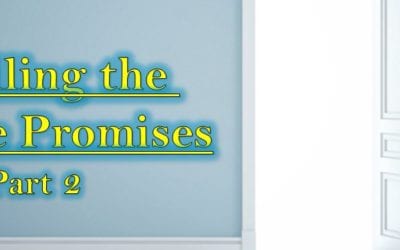 Fulfilling the Twelve Promises: Part 2