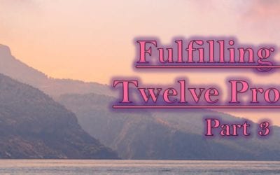 Fulfilling the Twelve Promises: Part 3