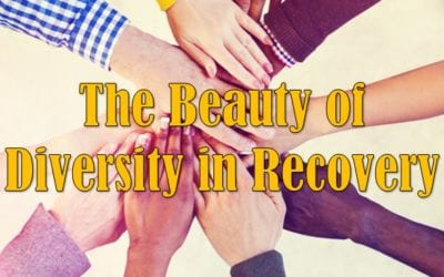 The Beauty of Diversity in Recovery