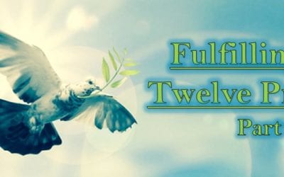 Fulfilling the Twelve Promises: Part 4