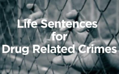 Life Sentences for Drug-Related Crimes