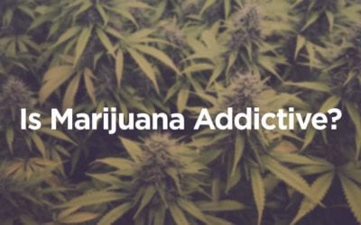 Is Marijuana Addictive?