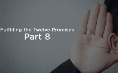 Fulfilling the Twelve Promises: Part 8