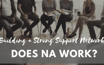 Building a Strong Social Network: Do NA Meetings Work?