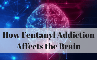 How Fentanyl Addiction Affects the Brain