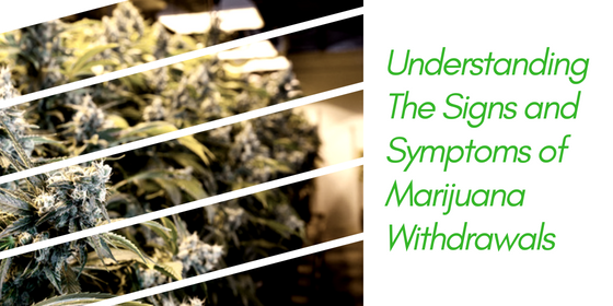 Understanding The Signs and Symptoms of Marijuana Withdrawals ...