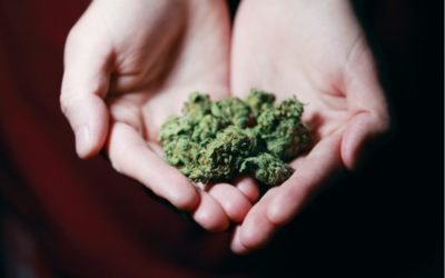 Can Weed Cause Psychosis? (Spoiler: Yes It Can)